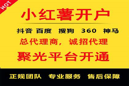 深入剖析SEM公司成功案例：数据驱动的广告策略